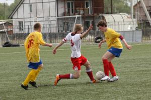 Кожанный мяч 2014 г.Саяногорск