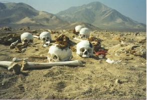Peru - Chauchillo Cemetery