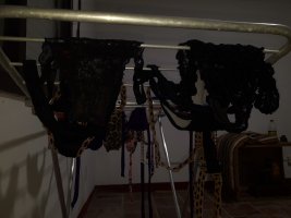 panties clothesline