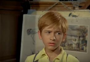 Boy red hair in series tv "Pistruianul"
