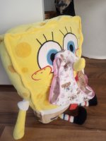 SpongeBob square panties