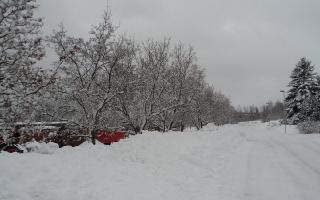 Зима2010