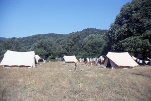[Scouts] Camp été Meute 1987