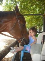 LITTLE GIRLS & HORSES--GREAT TOGETHER