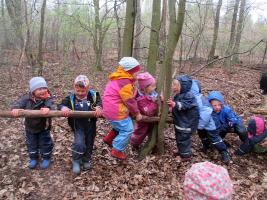 Das Beste fuer 3-6 Jaehrige Kinder:  Waldkindergarten