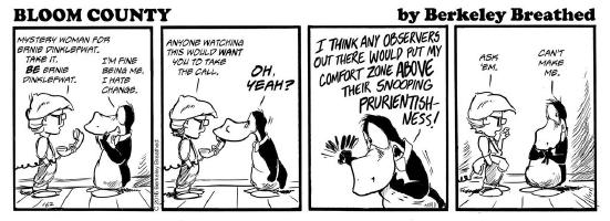 More Bloom county