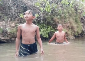 Indian Live, swimming in the river