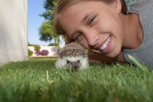 Katie and the hedgehog