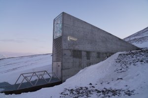 Svalbard 'Perpetual Repercussion'