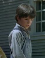 Character boy  in The litthe house on prairie