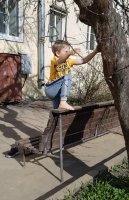 Similar boy kid wearing pant climbing tree