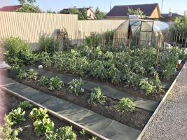 Семейный сад и огород