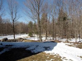 Spring Begins in the North Country