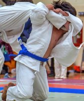 Boys Judo Action